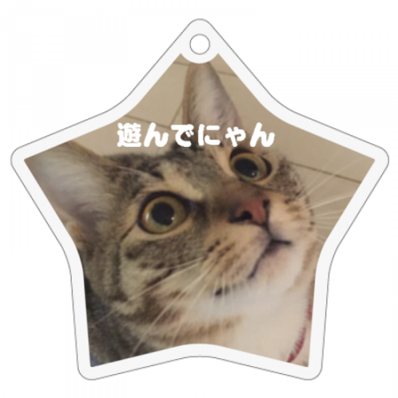 星型キーホルダー（白色）