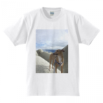 オリジナルTシャツ