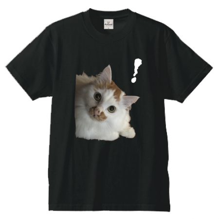 猫写真のオリジナルTシャツ