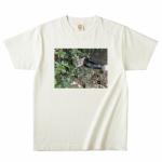 オリジナルの猫写真Tシャツ