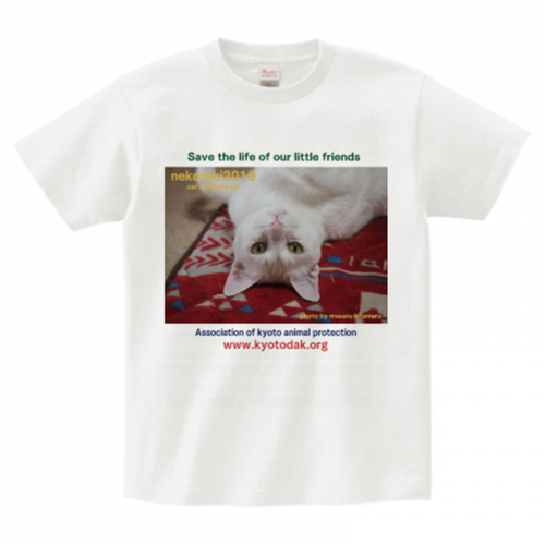 オリジナル猫Tシャツ