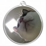 あごの下から！猫写真をプリントしたオリジナルキーホルダー