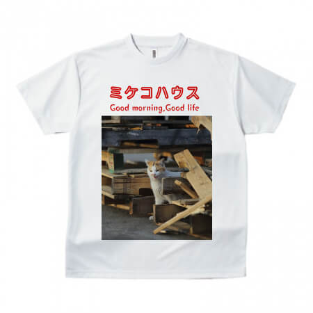 三毛猫の写真をプリントしたオリジナルTシャツ