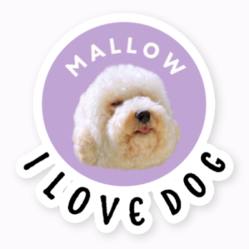 スタンプを使って愛犬のオリジナルステッカーを作成！
