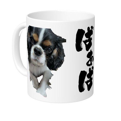 愛犬写真をプリントしておばあちゃんへマグカップを作成！
