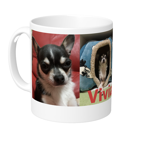 愛犬写真をプリントして即日出荷でマグカップを作成！