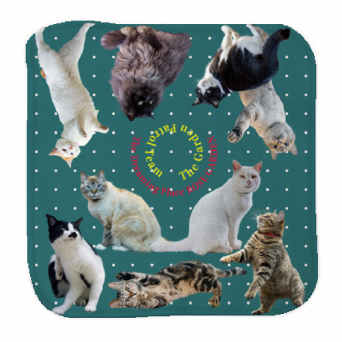 猫がいっぱい！見てるだけで癒されるオリジナルタオル