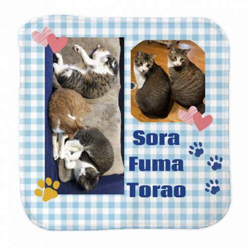 愛猫の写真をプリントしたオリジナルハンカチタオル
