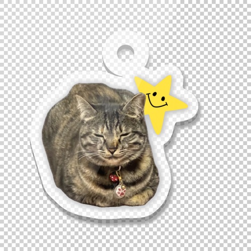寝ている愛猫をプリント！オリジナルペットキーホルダー