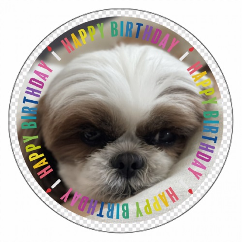 愛犬のお誕生日記念！オリジナル丸型マグネット