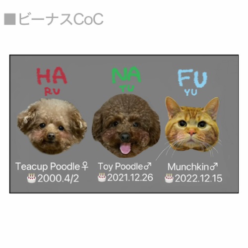 かわいいペットのお顔をあしらったYotubeチャンネルの名刺