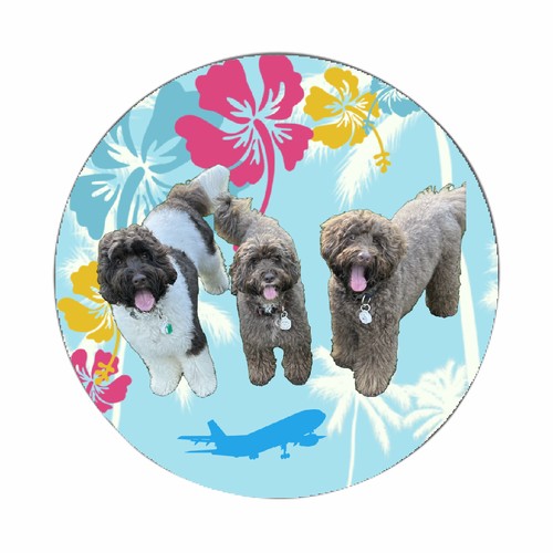 大空とバカンスの雰囲気！愛犬の写真で彩るオリジナル平丸缶