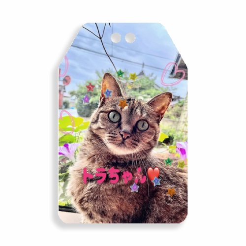 愛猫のくつろぎショットをお守りアクリルキーホルダーに