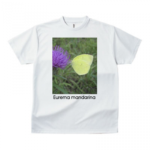 オリジナルTシャツ