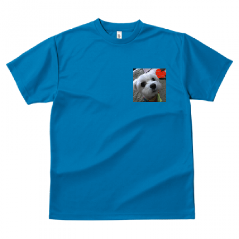 オリジナルドライTシャツ