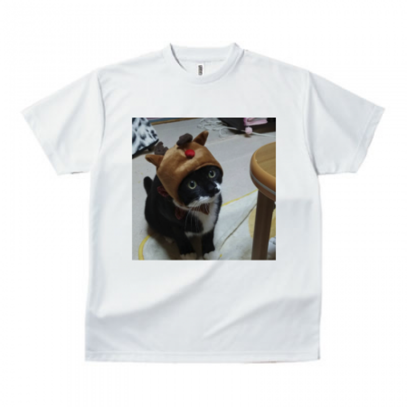 真っ赤なおハナのオリジナル猫Tシャツ