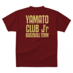 オリジナルドライTシャツ