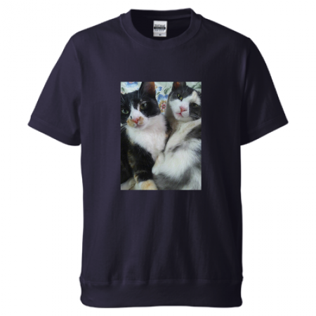 オリジナルの猫写真Tシャツ