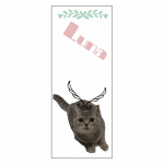 ネコ写真のオリジナルタオル