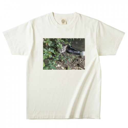 オリジナルの猫写真Tシャツ