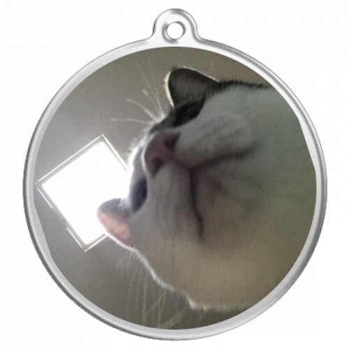 あごの下から！猫写真をプリントしたオリジナルキーホルダー