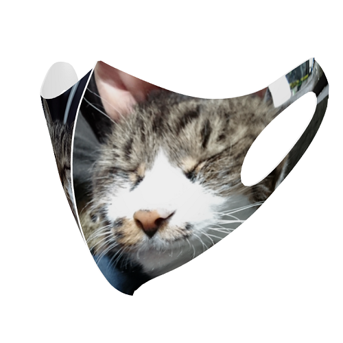 愛猫の写真でオリジナルのクールマスクを作成