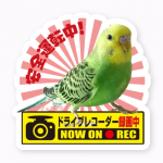 安全運転を呼びかけるオリジナルステッカー