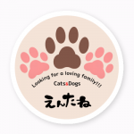 譲渡会のお知らせステッカーをオリジナルで作成