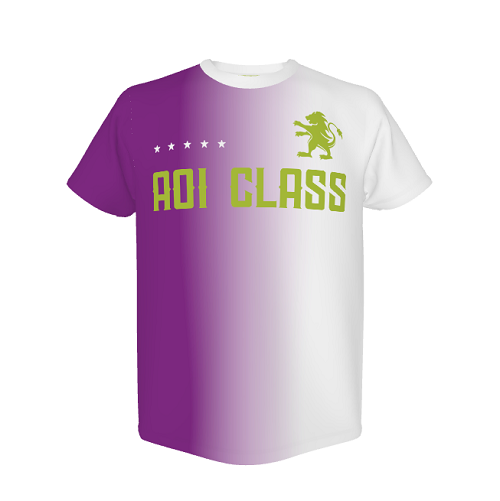 サッカーっぽいデザインがかっこいいオリジナルのクラスTシャツ