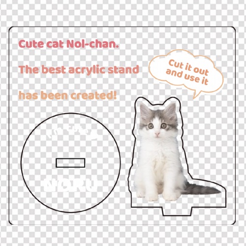 お家のインテリアに！愛猫のアクリルスタンド
