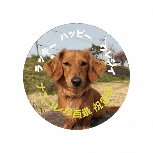 大好きなペットの写真をプリント！記念アクリルバッジ