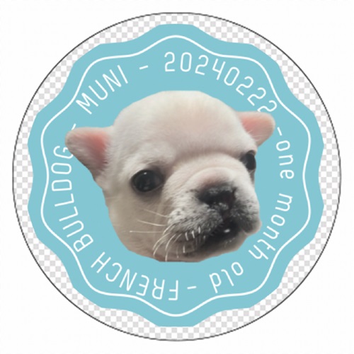 生誕1ヵ月記念！犬カフェの販売品グッズ