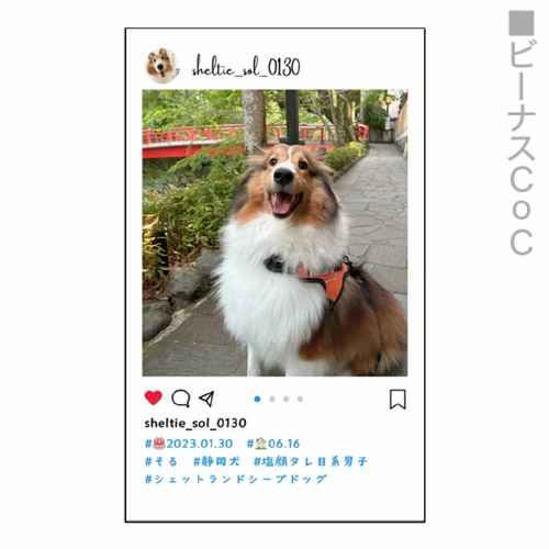 SNS風のデザインが目を引くオリジナル名刺