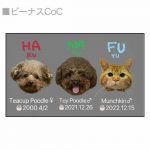 かわいいペットのお顔をあしらったYotubeチャンネルの名刺