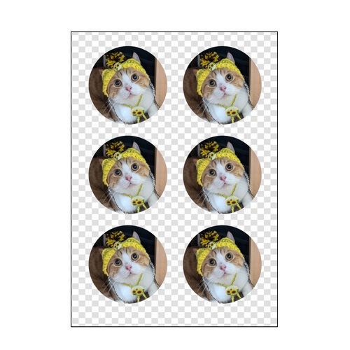 ニット帽をかぶった猫ちゃんがかわいいオリジナルシール
