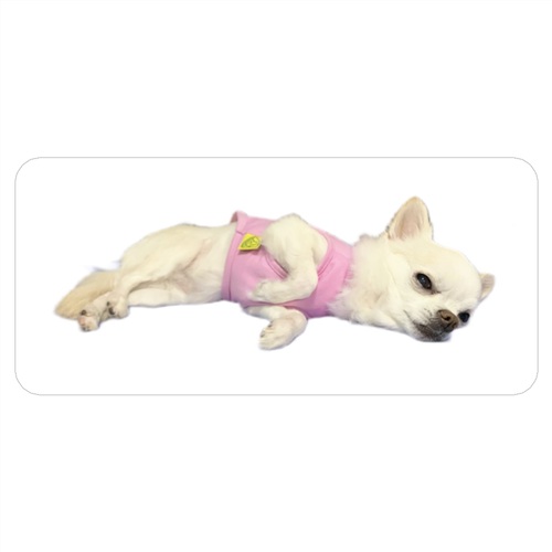 愛犬の愛おしい寝姿をオリジナル赤ちゃんダイカットクッションに！